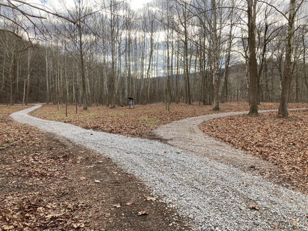 Fest Site and Campground rules